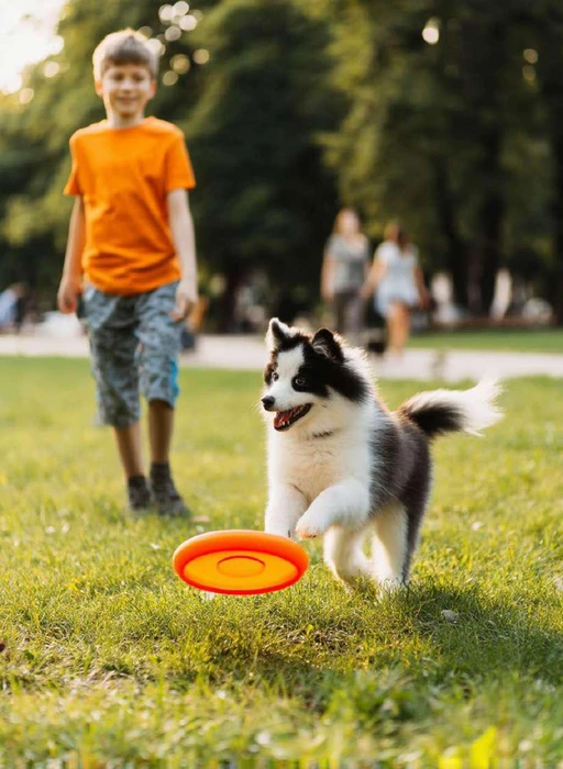 Activity Lawn amenity image at Avenew 888 - Modo