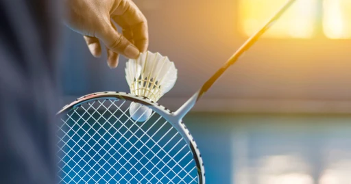 Badminton Court amenity image at Maimoon Gardens