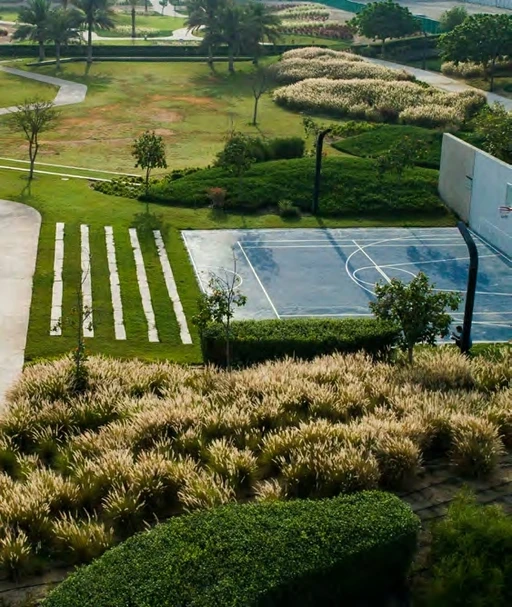 Basketball Court amenity image at Damac Hills - Park Town