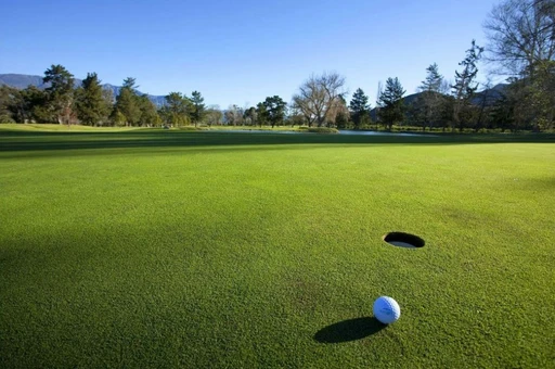 Golf Cart amenity image at Flow Residences