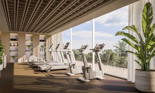 Indoor Gym amenity image at Avida Residences