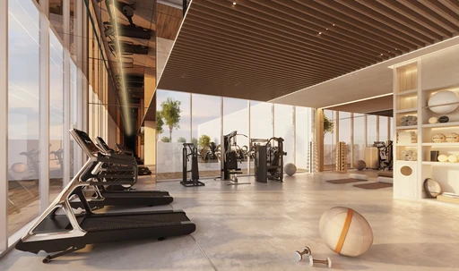 Indoor Gym amenity image at The Elysian