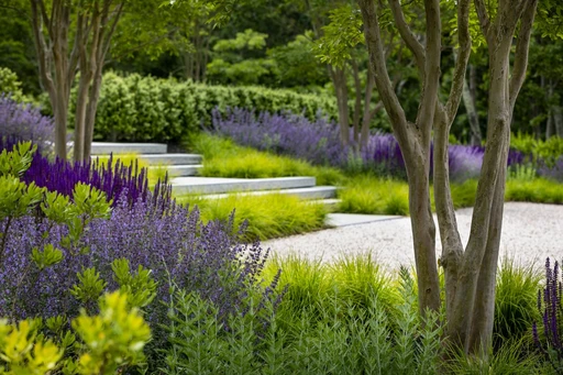 Lush, Landscaped Gardens amenity image at Porto View
