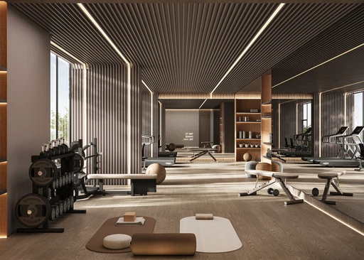 Mixed-use Gym amenity image at Divine Al Barari