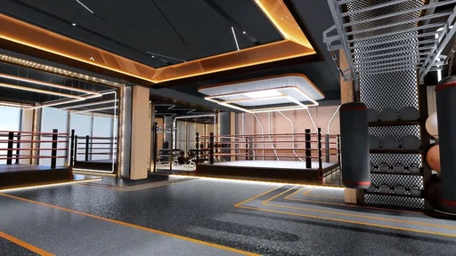 MMA & Crossfit amenity image at Avior