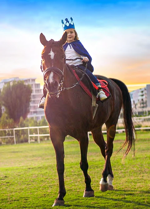 Stables With Horse-Riding Lessons amenity image at Damac Hills - Park Town