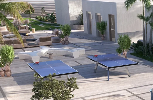 Table Tennis amenity image at Divine Elements