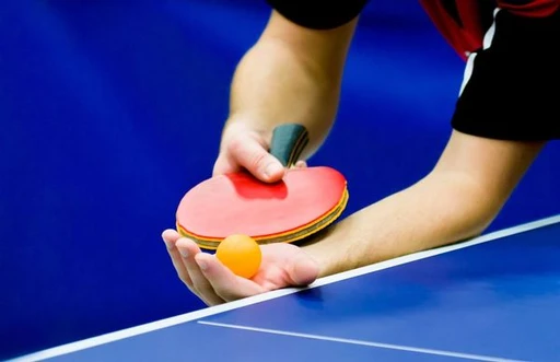 Table Tennis amenity image at Maimoon Gardens