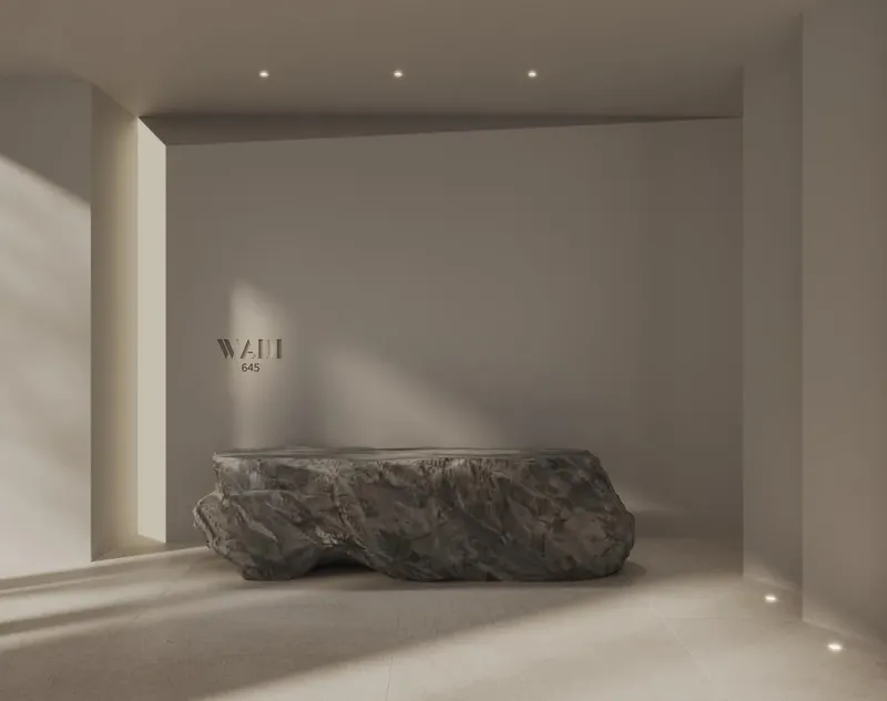 Lobby at Wadi 645 in Majan Dubai