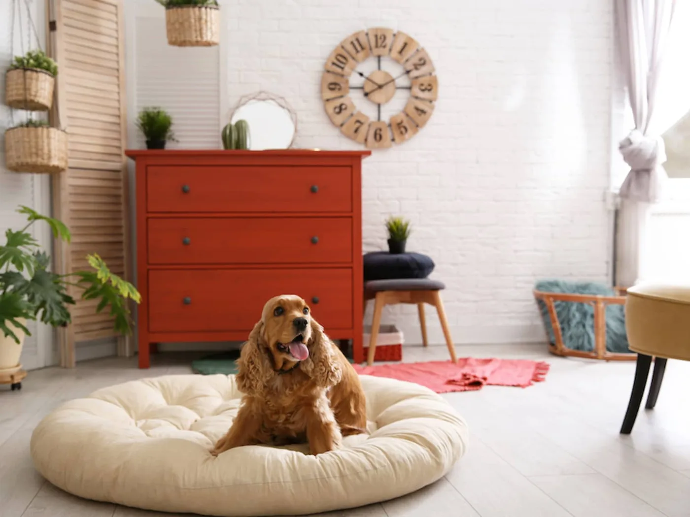 Pet Station In Lobby amenity image at 25h Heimat
