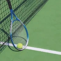 Tennis Court amenity image at 399 Hills Park