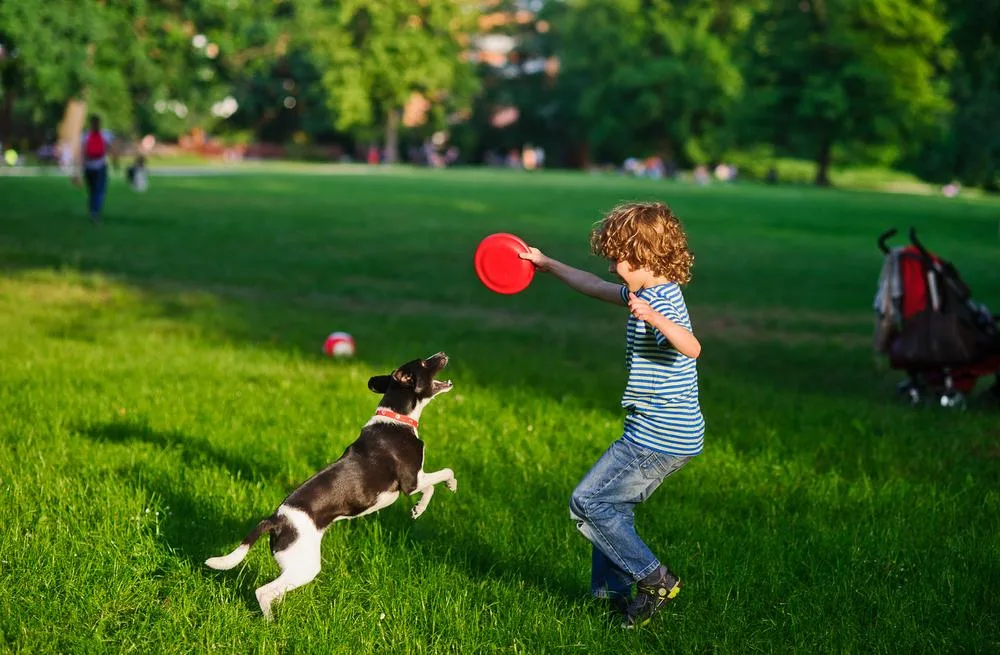 Pet Play Area amenity image at Al Hamra Waterfront