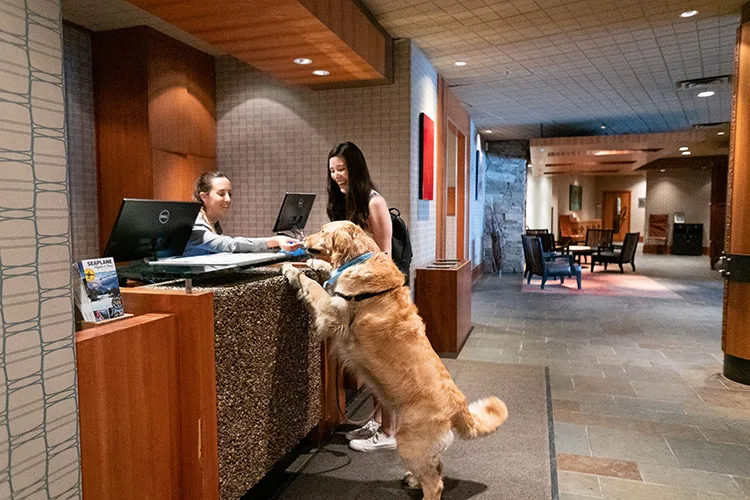Pet Friendly amenity image at Autograph S Series Residence
