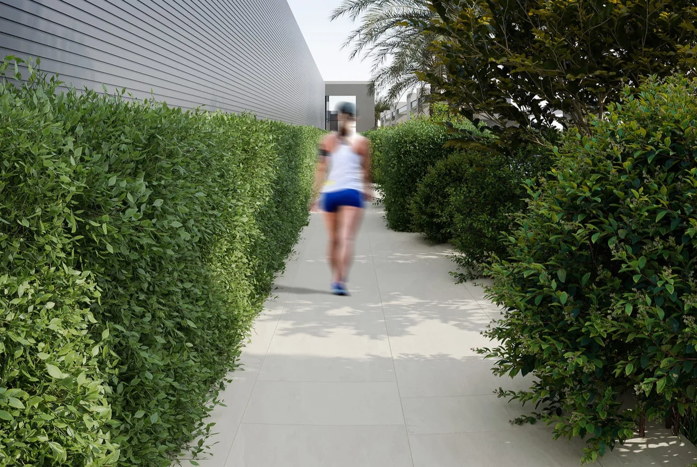 Walking Track amenity image at Belle Rêve