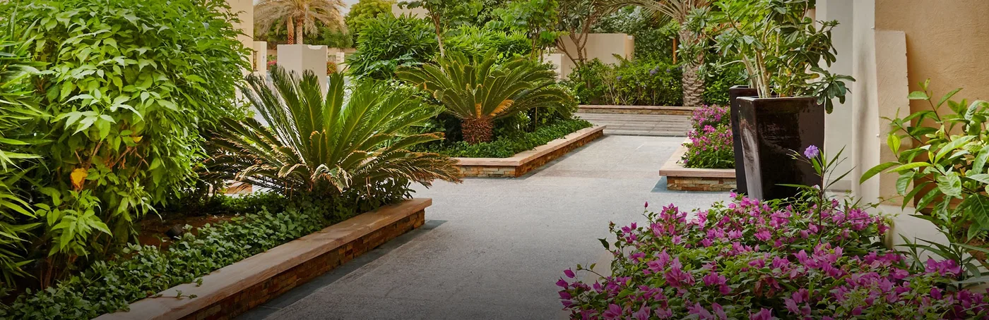 Garden amenity image at Bloom Living 7 - Almeria