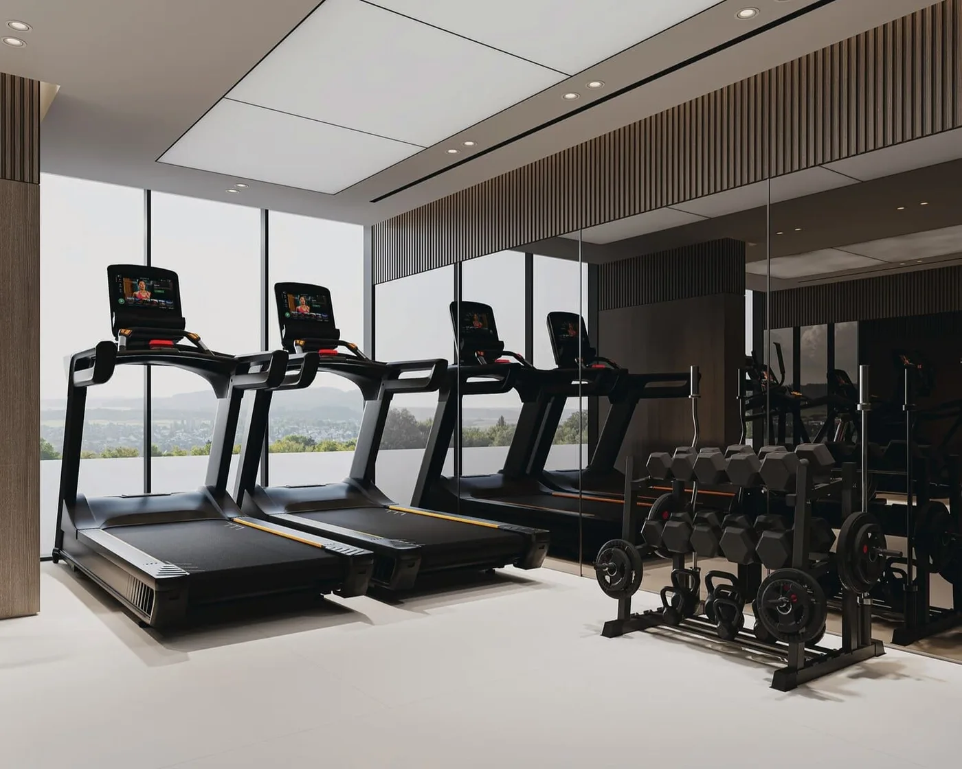 Gym amenity image at Casa Aura Residence