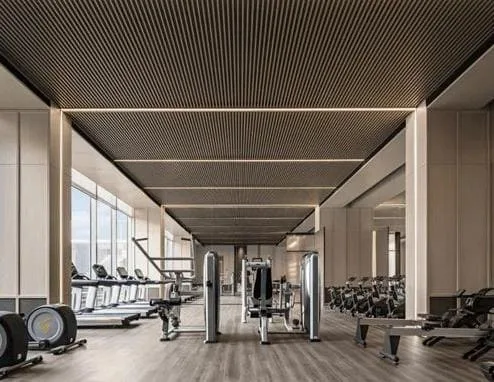 Gym amenity image at Damac Bay