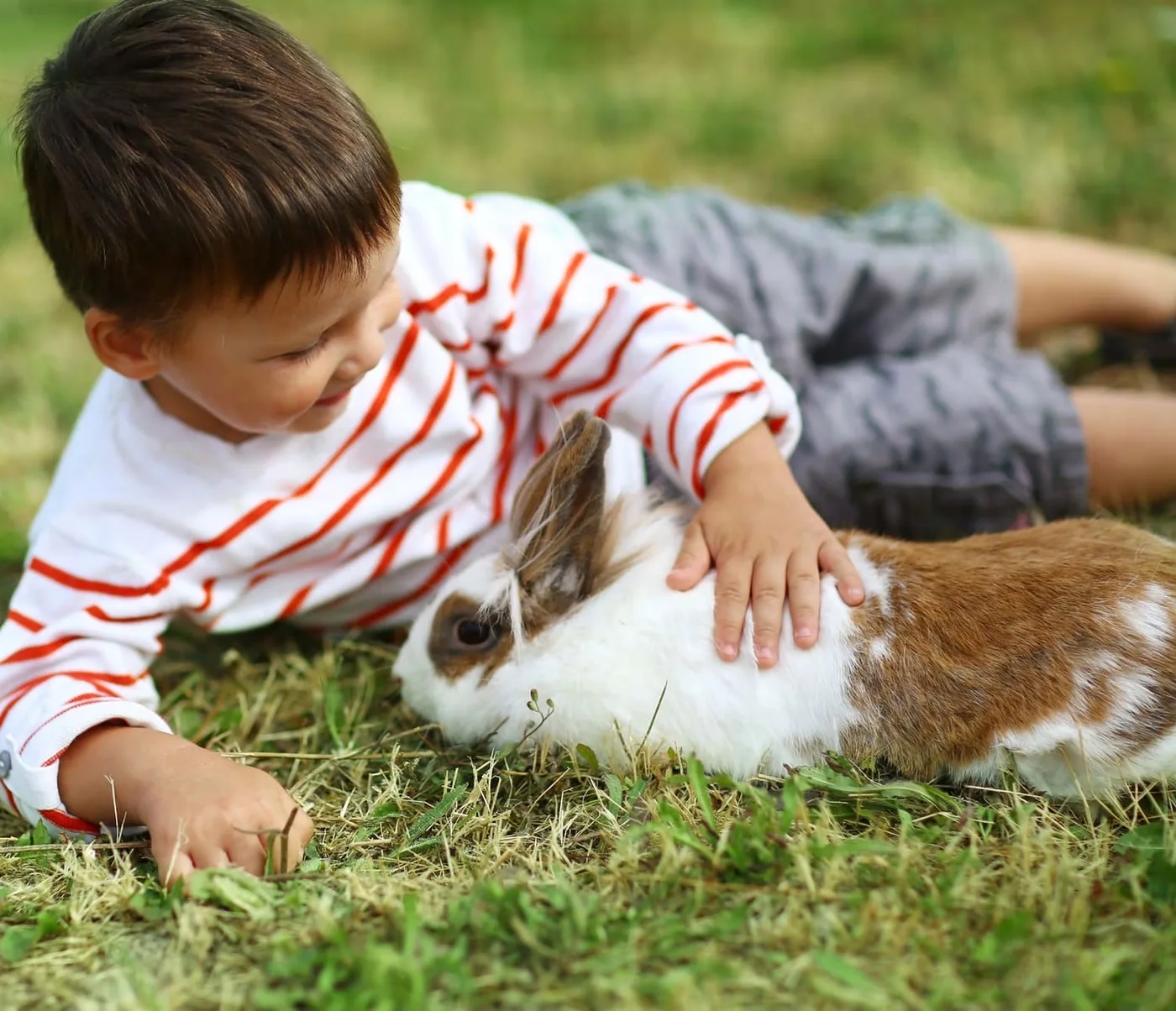 Farmer’S Market Petting Farm amenity image at Damac Hills 2 - Amargo 2