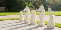 Chess Slate amenity image at Damac Hills 2 - Park Greens