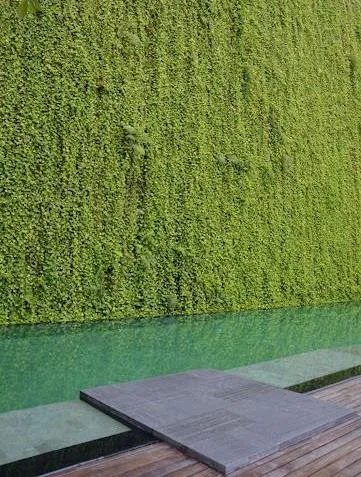 Lush Green Walls amenity image at Damac Hills 2 - Park Greens