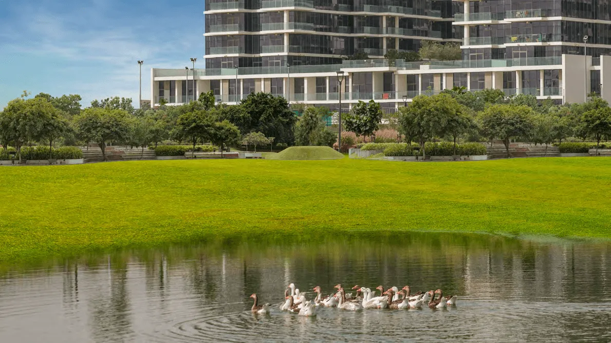 The Park amenity image at Damac Hills - Park Town