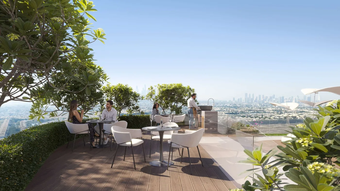 Bbq Area amenity image at ELAR1S Sky