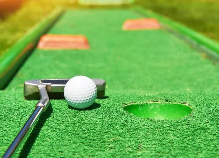 Mini Golf amenity image at Elitz