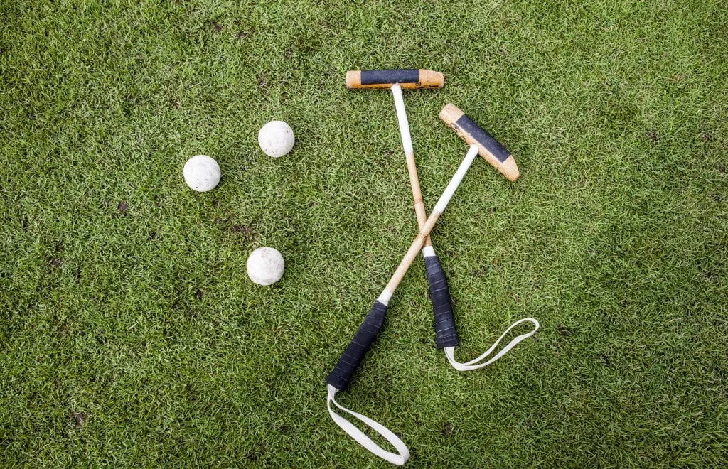 The Polo Fields amenity image at Equestra