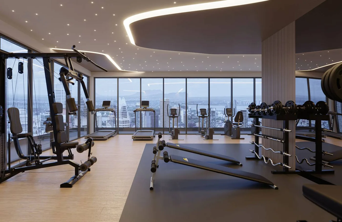 Rooftop Gym amenity image at Jardin Astral