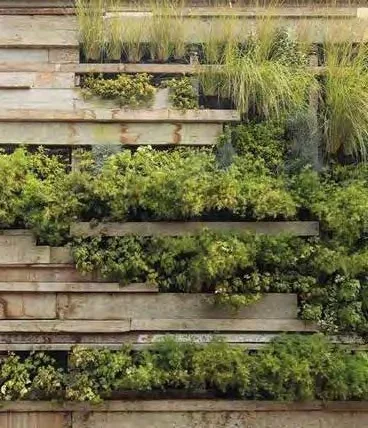 Organic Plants Garden amenity image at Keturah Ritz Carlton