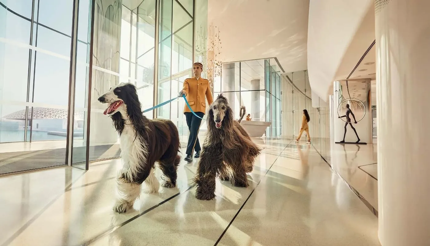 Pet Concierge amenity image at Louvre Abu Dhabi Residences