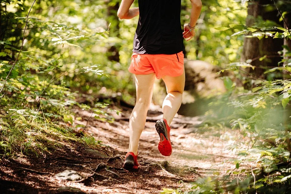 Woodland Jogging Track amenity image at Masaar 2 Melia