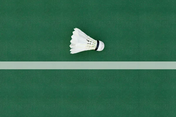Badminton Court amenity image at Oasiz 2