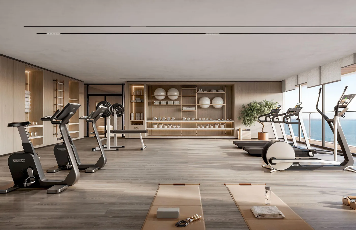 Gym amenity image at Ola Residence