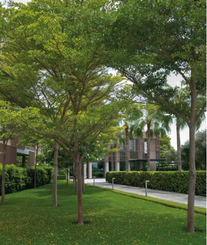 Common Garden amenity image at Sea Glints Mansions