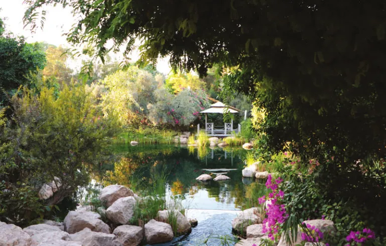 Al Barari Gardens amenity image at The Cape