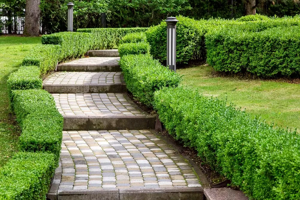 Landscaped Walk-In Areas amenity image at Azizi Amir