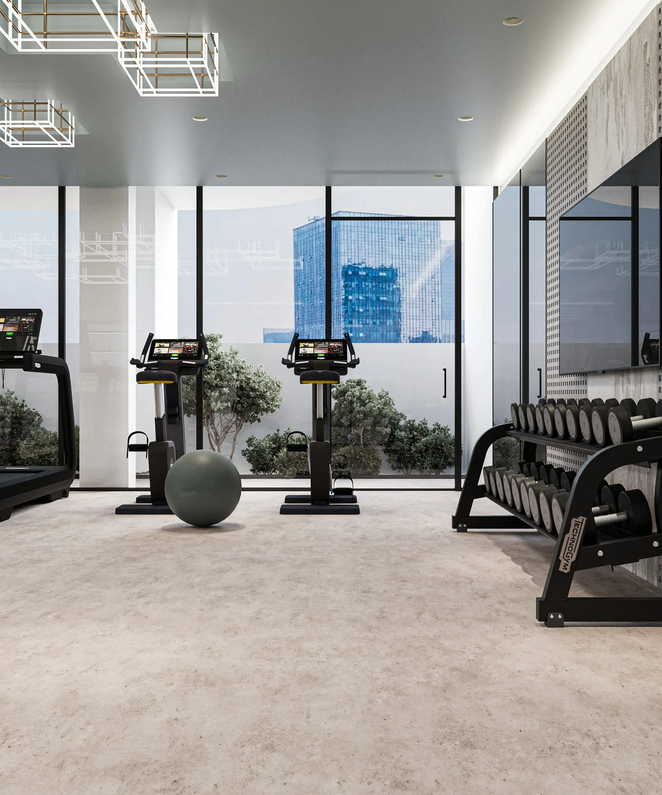 Gym amenity image at Celeste Heights
