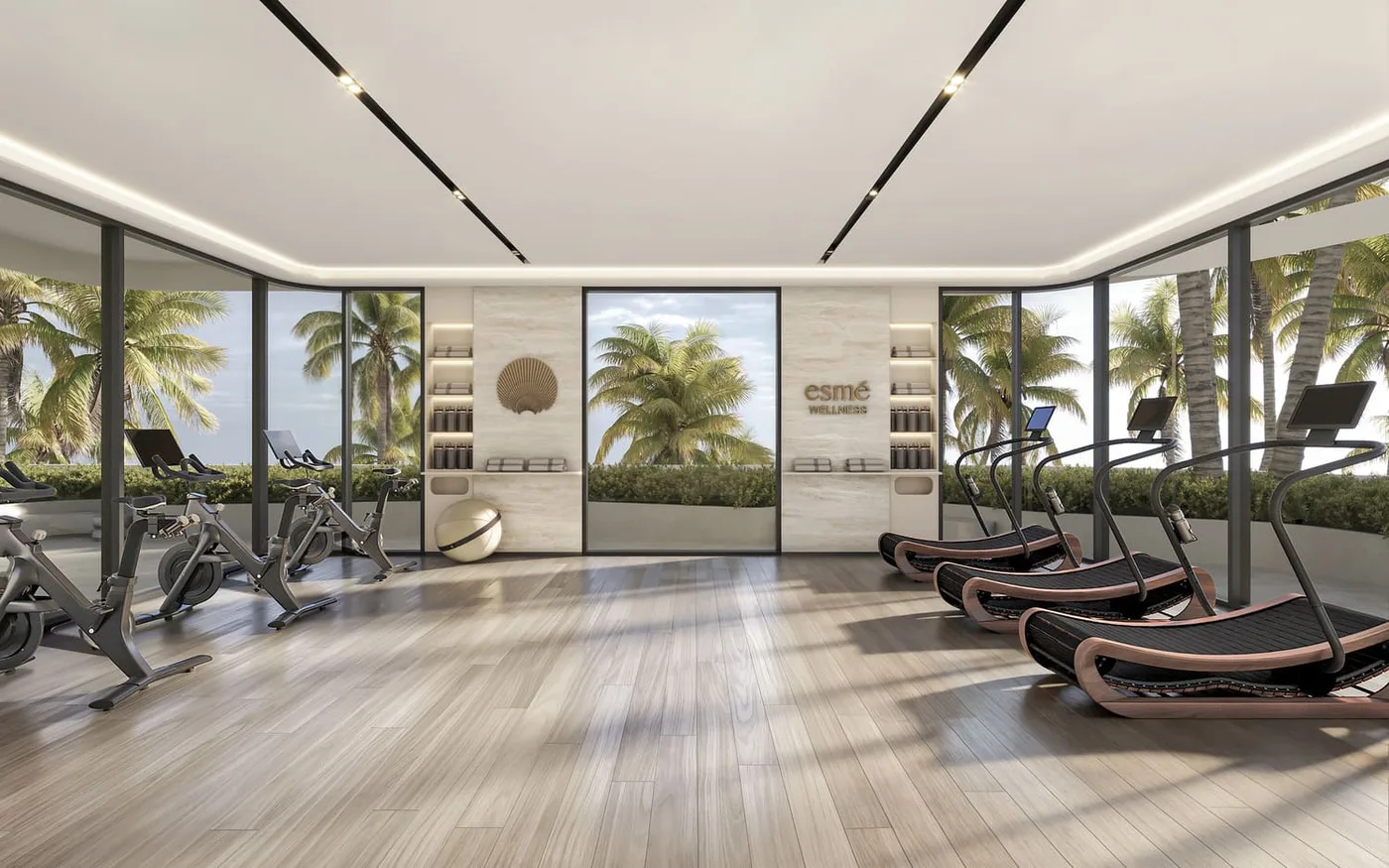 Indoor Gym & Fitness Studio amenity image at Esme Beach Residences