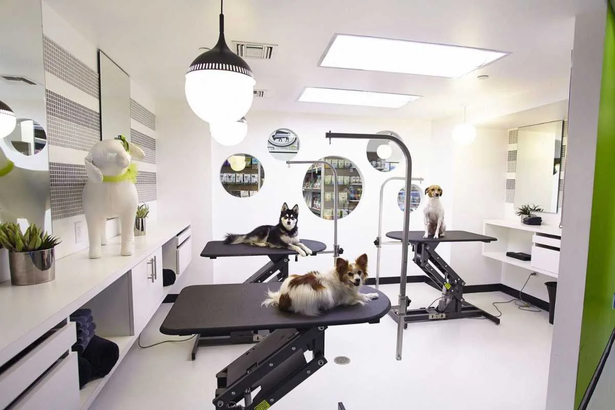 Pet Grooming Rooms amenity image at Mandarin Oriental Residences