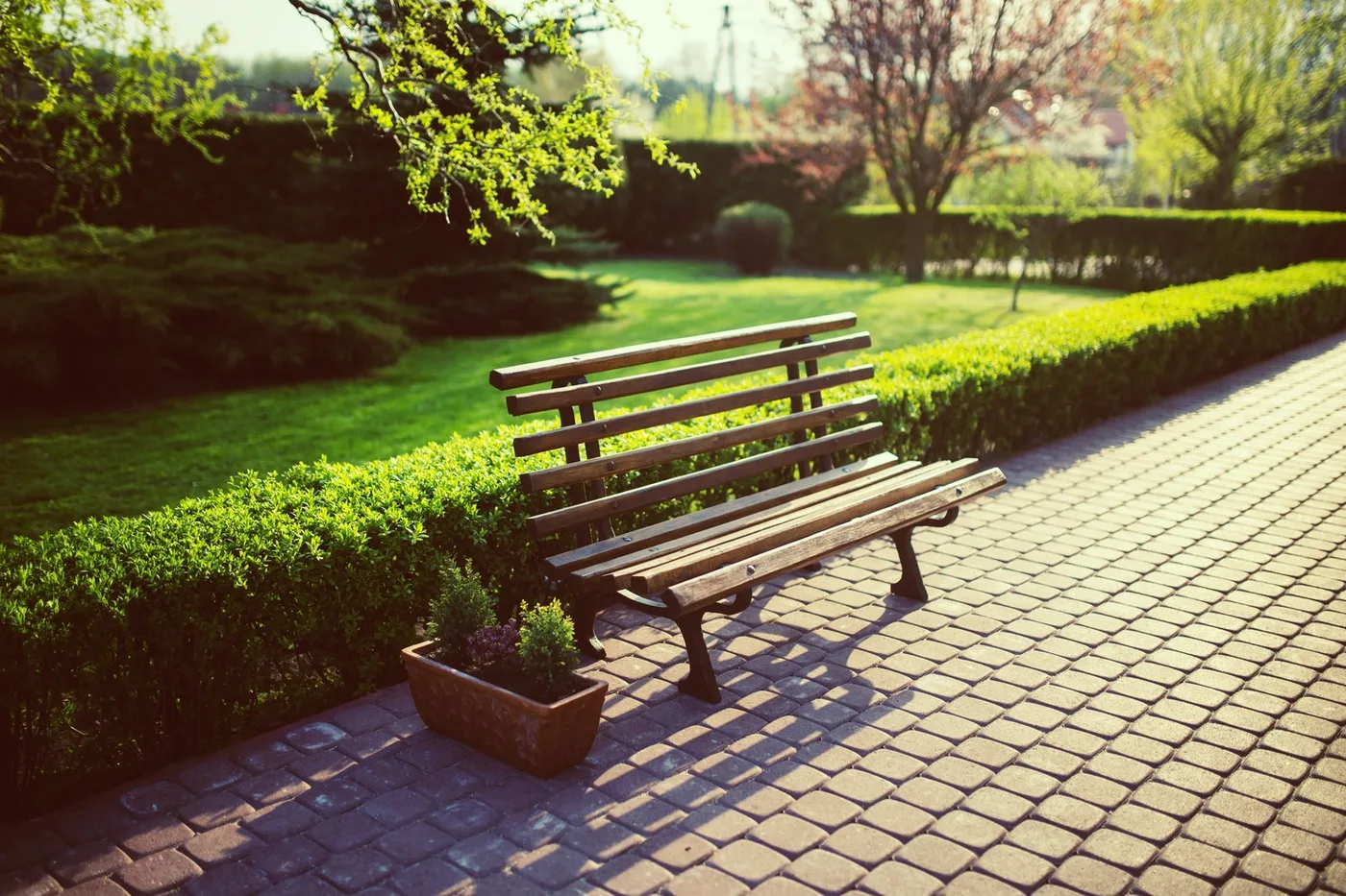 Outdoor Area amenity image at Rotana Residences South Tower