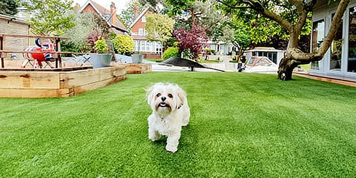 Pet Garden amenity image at Sol Levante